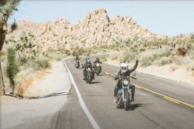 On the Road With Sacha Braddock